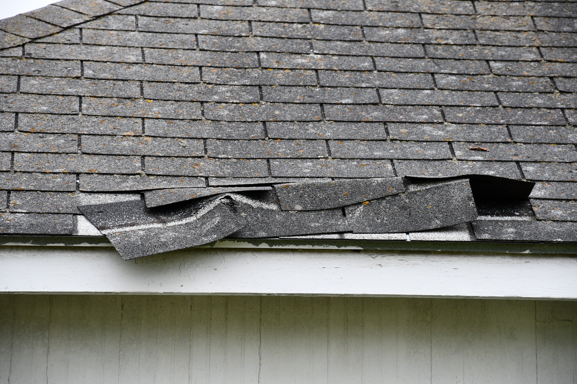 Before: Complete Roof Transformation