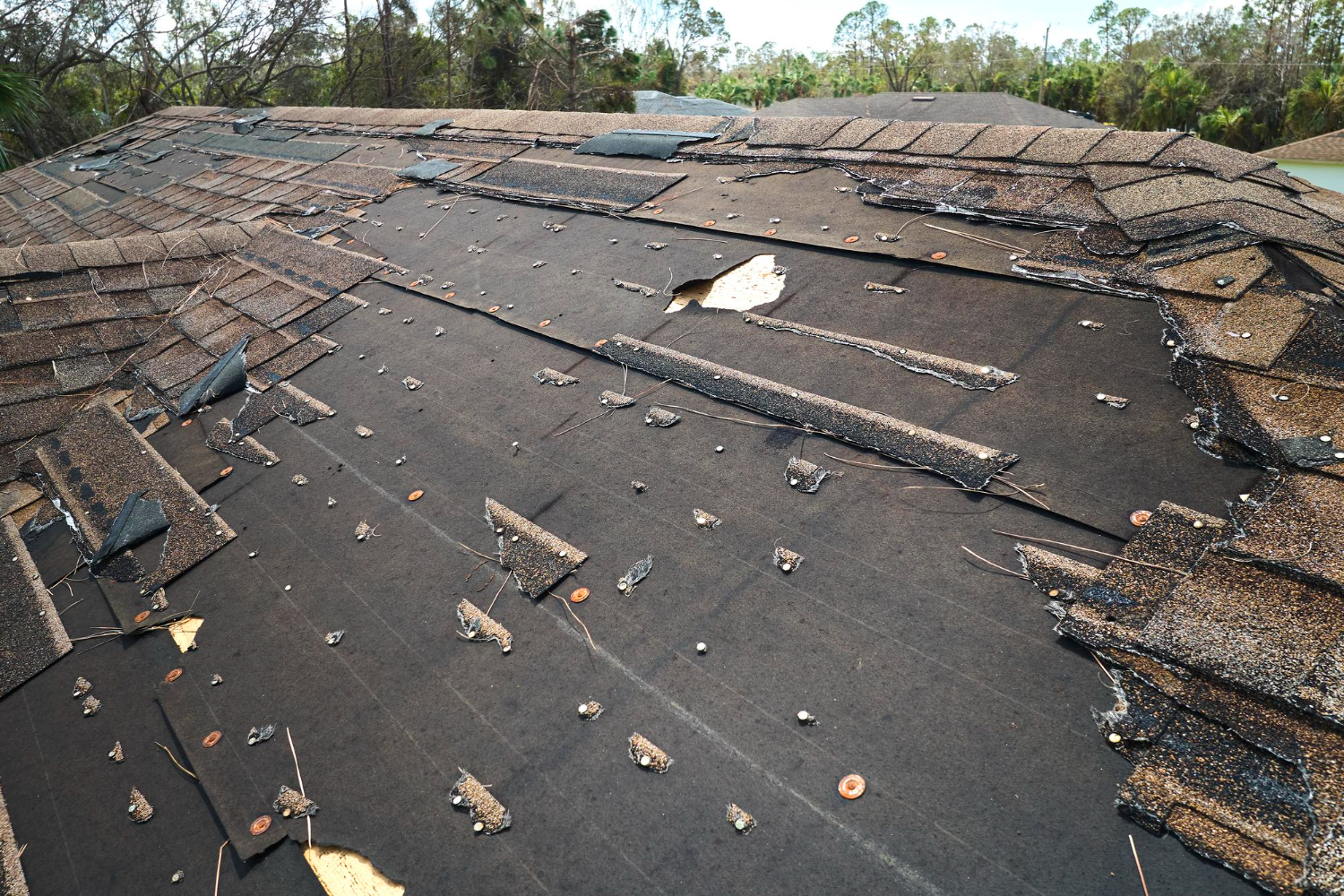 Before: Commercial Flat Roof